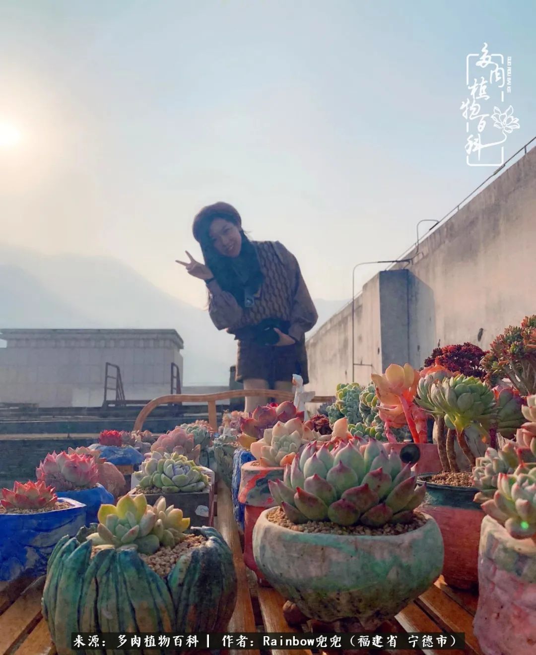 岁月无波澜余生不悲欢是啥意思,愿你岁月无波澜敬我余生无悲欢