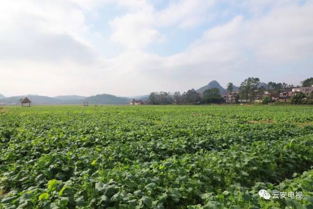云雾山旅游区景点,美丽云雾山旅游攻略