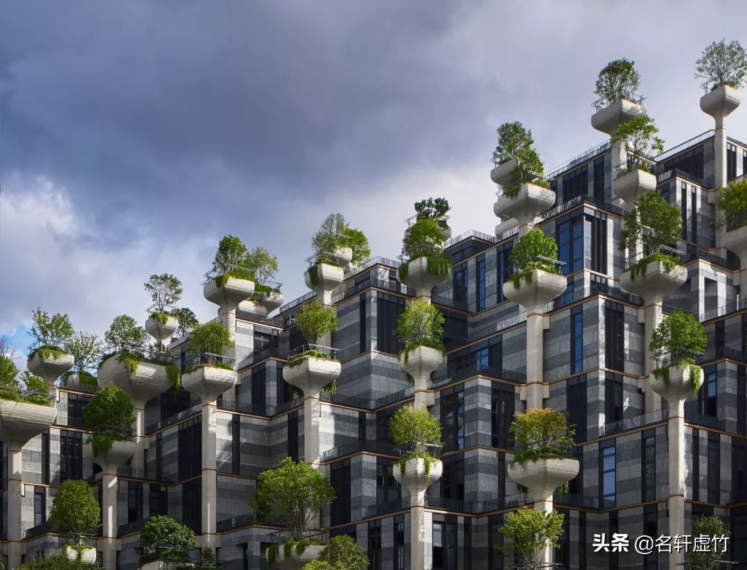 上海苏州河天安千树公园,天安千树苏州河畔空中花园