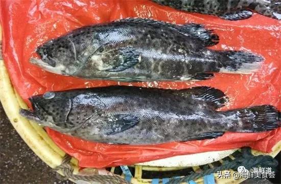 十种最美味海鲜,100种常见海鲜大全图