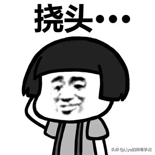 绐佽缈诲寘瑙嗛,绐佽缈诲寘