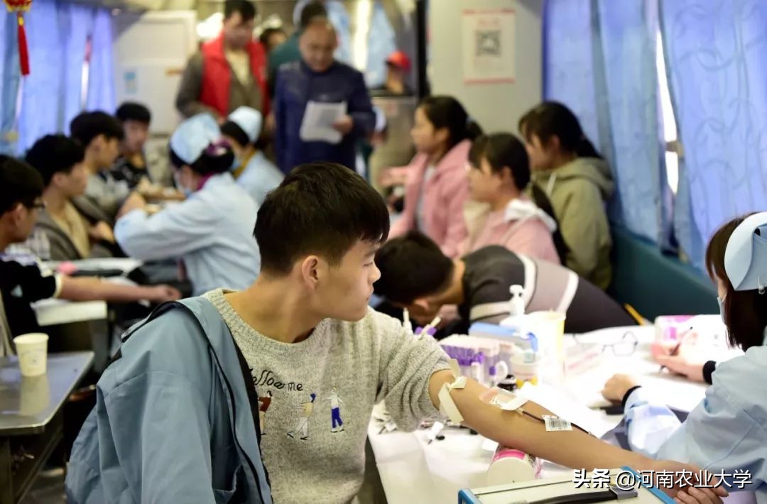 大爱丨228150毫升！农大人的热血让这个冬日温暖如春