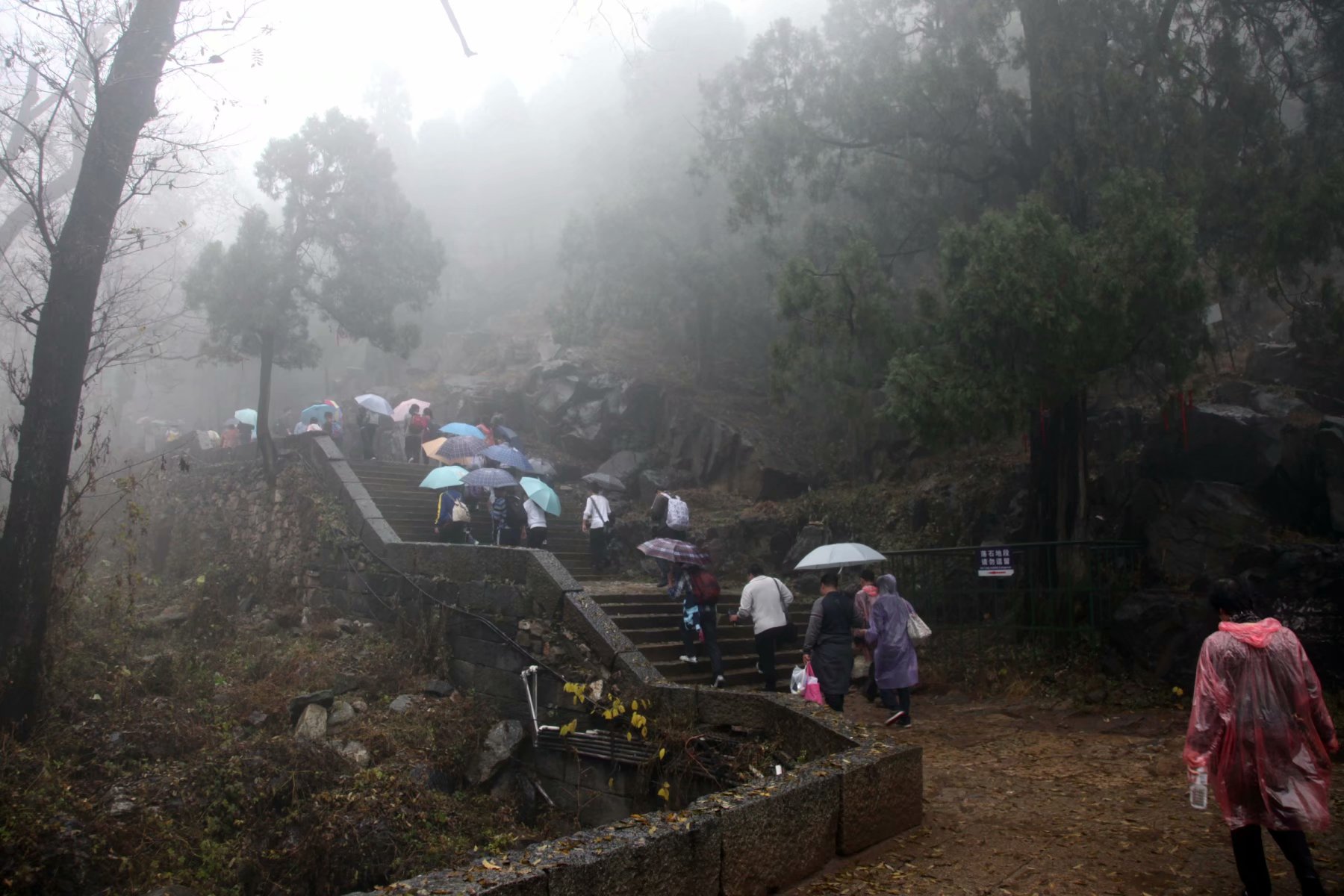泰山景区在山东哪个市,泰山孔子庙在泰山的位置