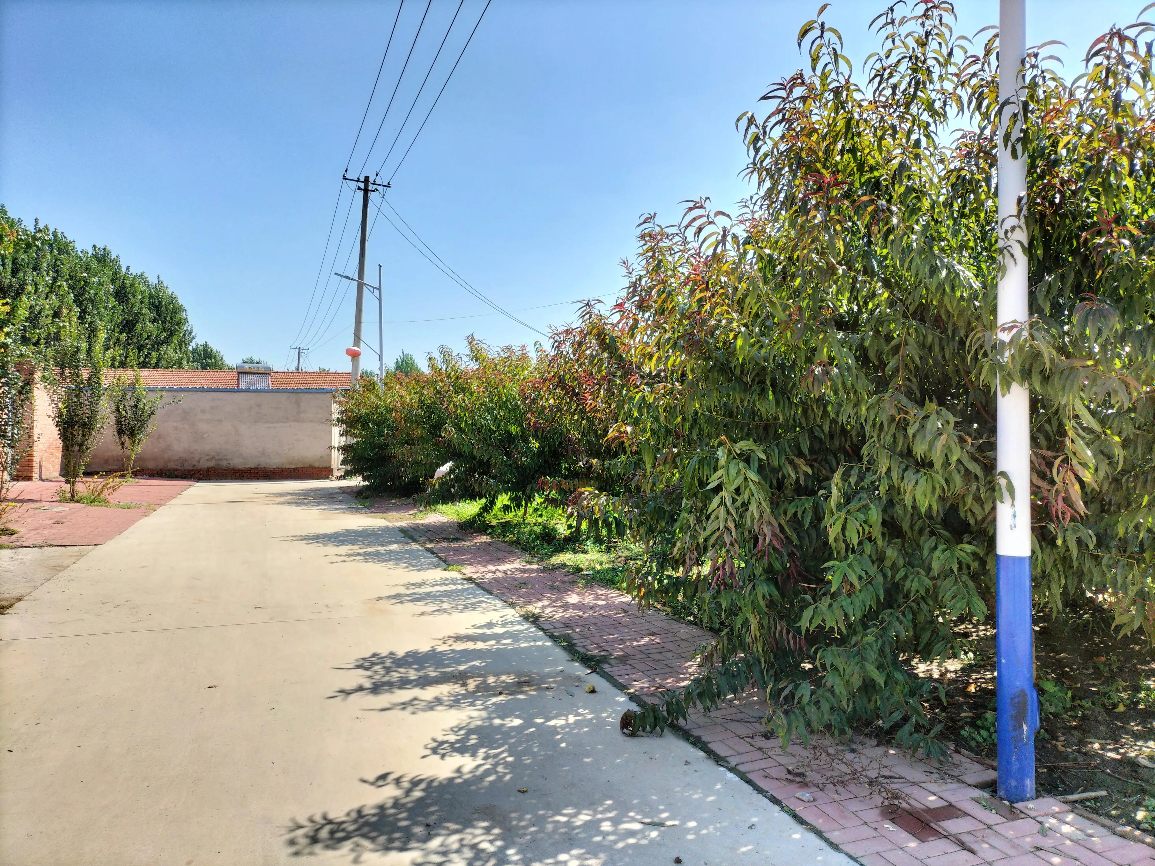 采访记录表模板,采访记录表四年级下册