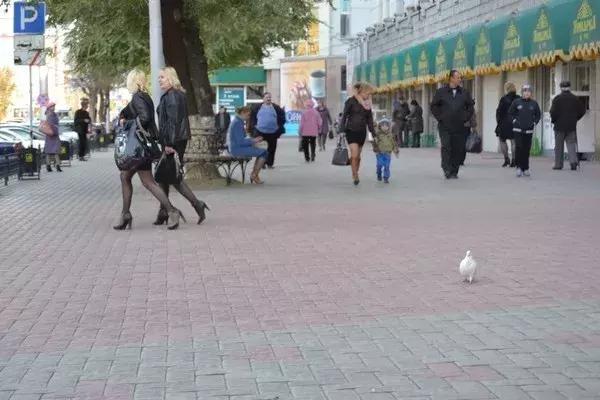 怎样从黑河去布拉戈维申斯克,从黑河去布拉戈维申斯克自由行