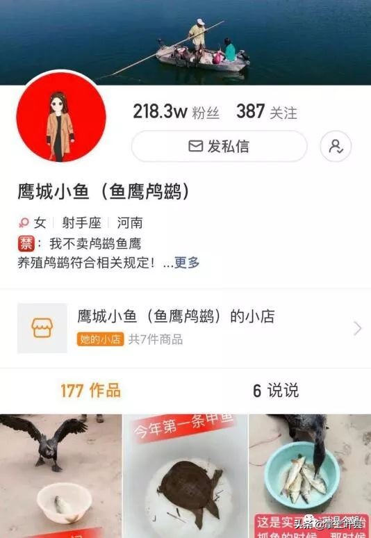 叶县这位姑娘火了！靠网络直播捕鱼，成功吸粉200多万！