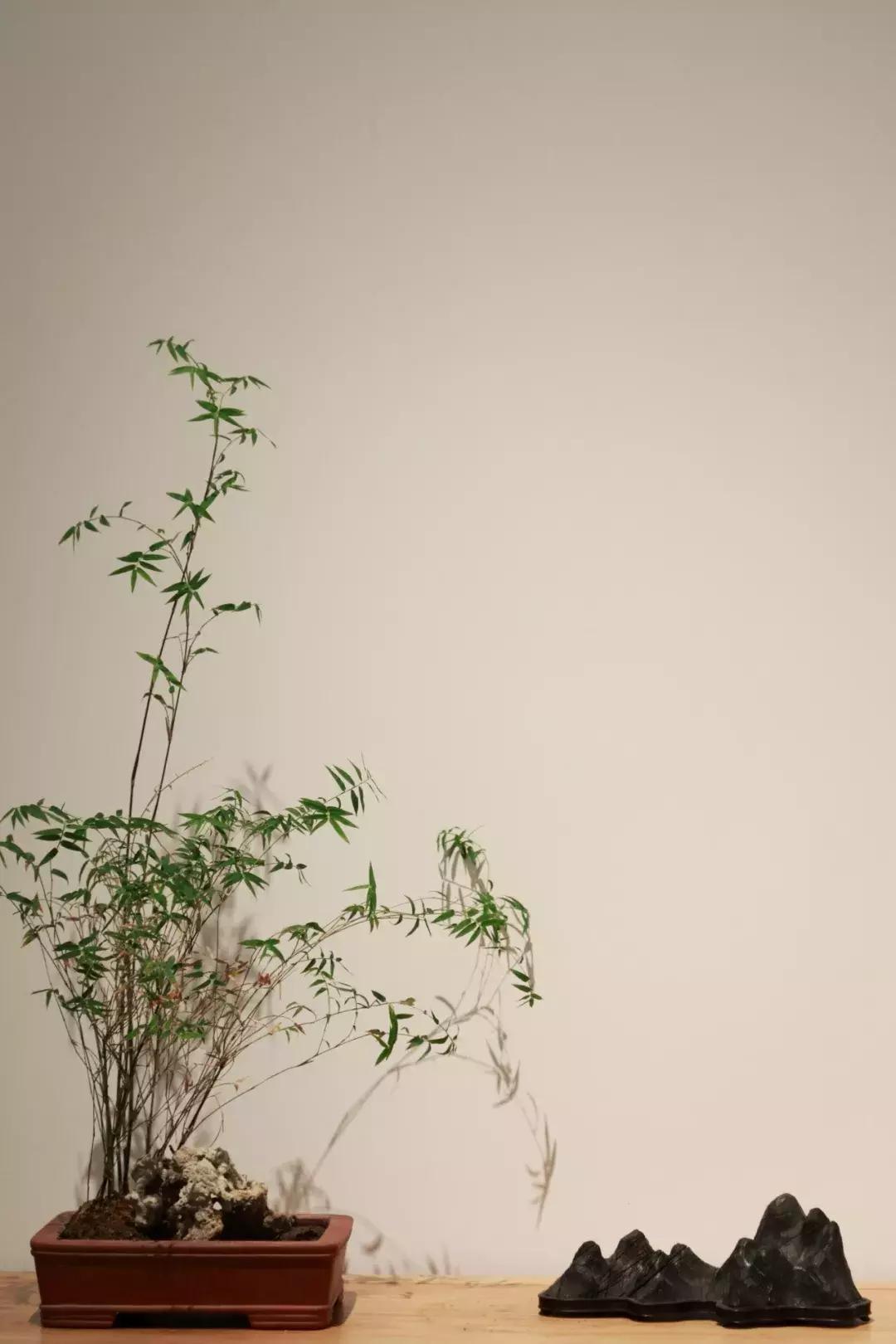 你的颜值到底有多重要,你的颜值固然重要