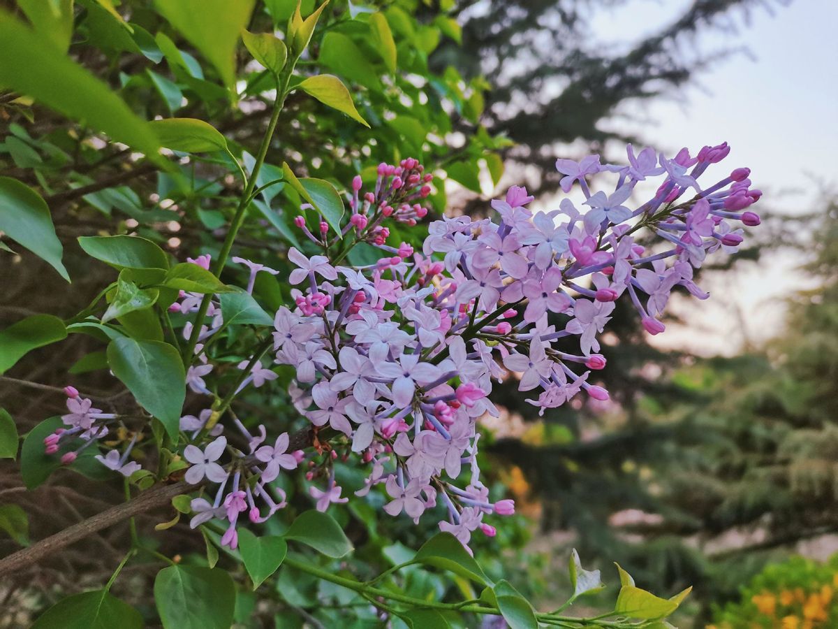 十二星座怎么评价自己,十二星座在别人眼里的看法列表