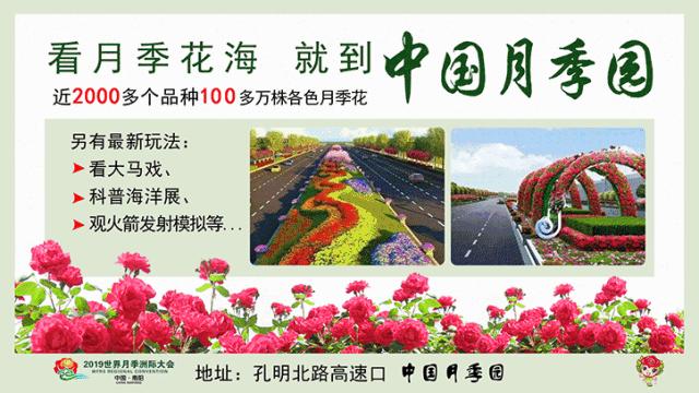 南阳世界月季大观园开幕邀请,南阳月季大观园门票现在免费政策