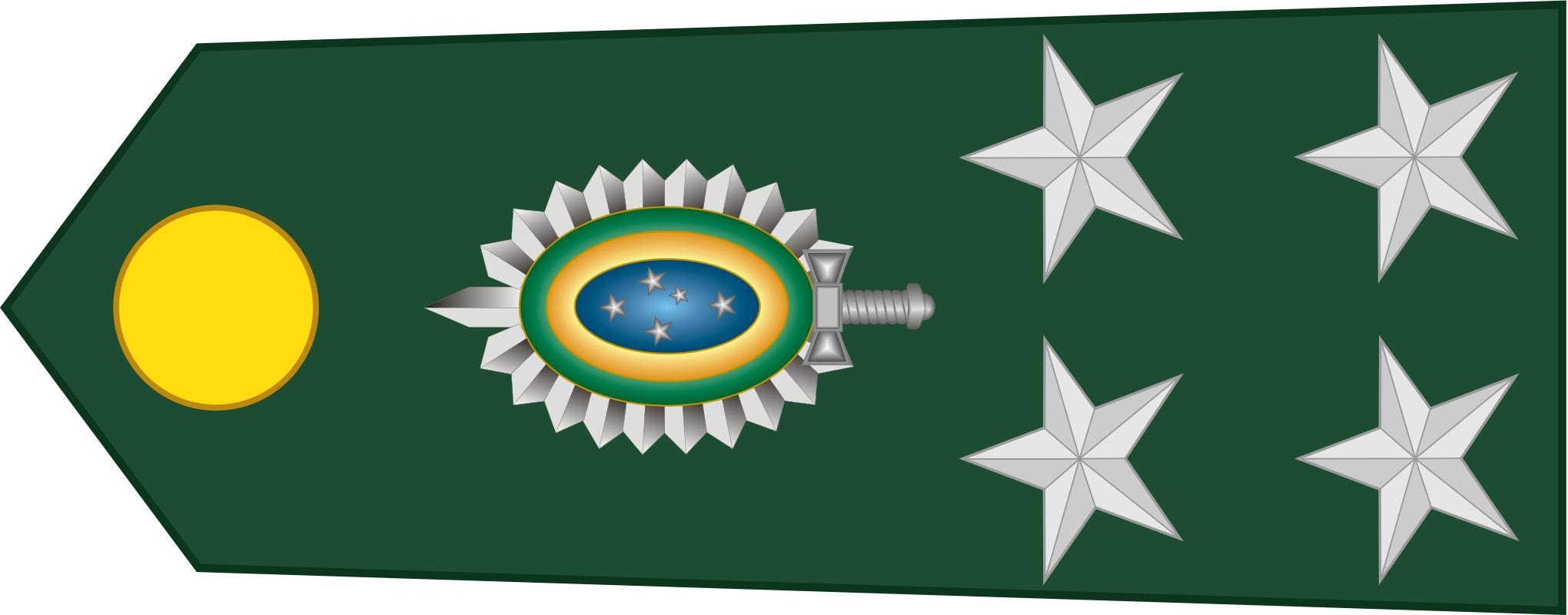 巴西军衔图片,各国军衔标识俄罗斯