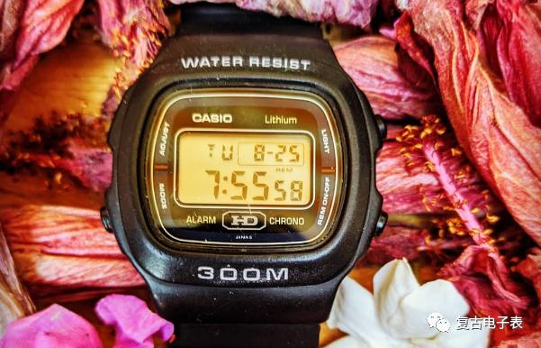 casiosw310,casiodw310璇勬祴