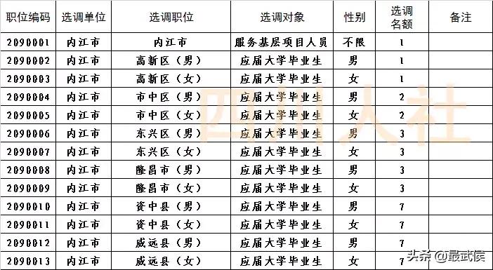 四川选调生2024选调公告官网,四川选调生2024选调公告名额