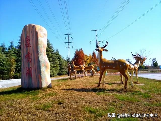 河北邯郸小郭一日游,鹿鸣湖春节旅游攻略