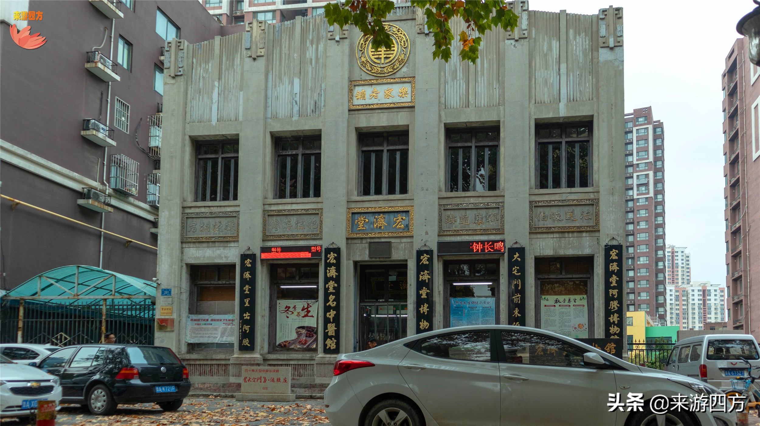 济南中山公园赏花,济南公园赏秋叶