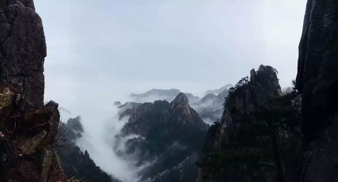 聚能深耕，砺行致远——对点中国2019黄山年会圆满落幕