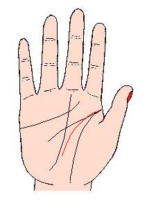 看手相可以预测什么,手相能预测考试吗