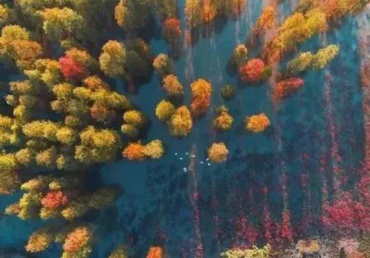 南京人少景美的免费公园,太全了全国旅游简图