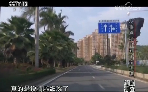 央视调查海南陵水挖芒果结果,央视调查海南陵水挖芒果