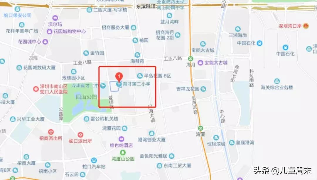 南山蛇口育才一小/二小/三小/四小,哪所更合适你家孩子?