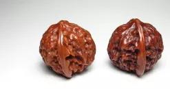 文玩核桃购买要问下什么,文玩核桃买到手第一件事干什么