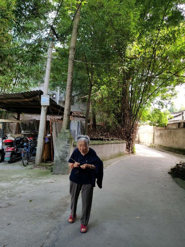 疫情下农家乐有哪些,疫情下农家乐