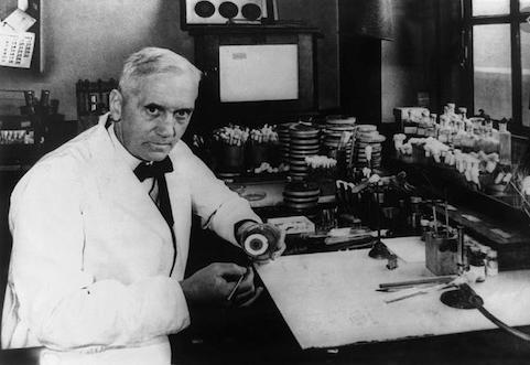 青霉素发明者的故事动画,青霉素的发明过程简介