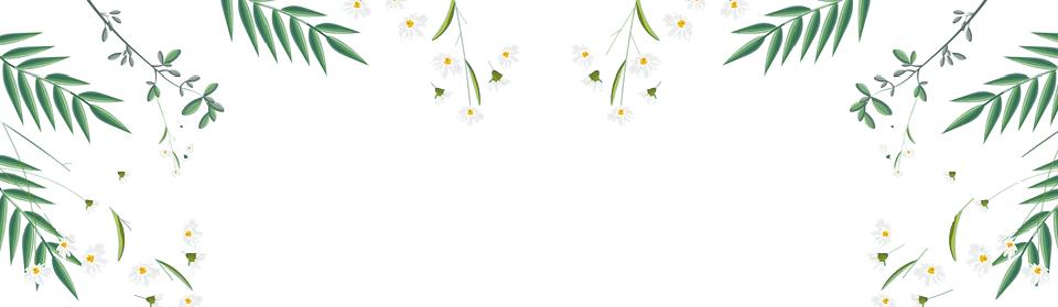 乌当区贵阳志愿者,旅游民宿志愿者招募