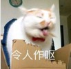 猫咪很臭又不能洗澡的时候怎么办,两个月的猫咪没洗澡太臭了怎么办
