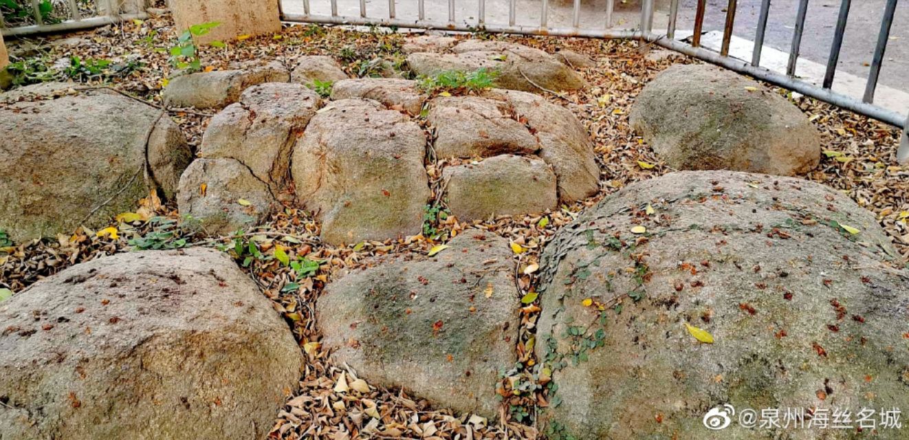 泉州高考状元庆祝,2020高考喜中状元庆祝