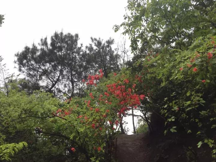 平江碧龙峡景区值得去玩吗,平江碧龙峡全长多少公里