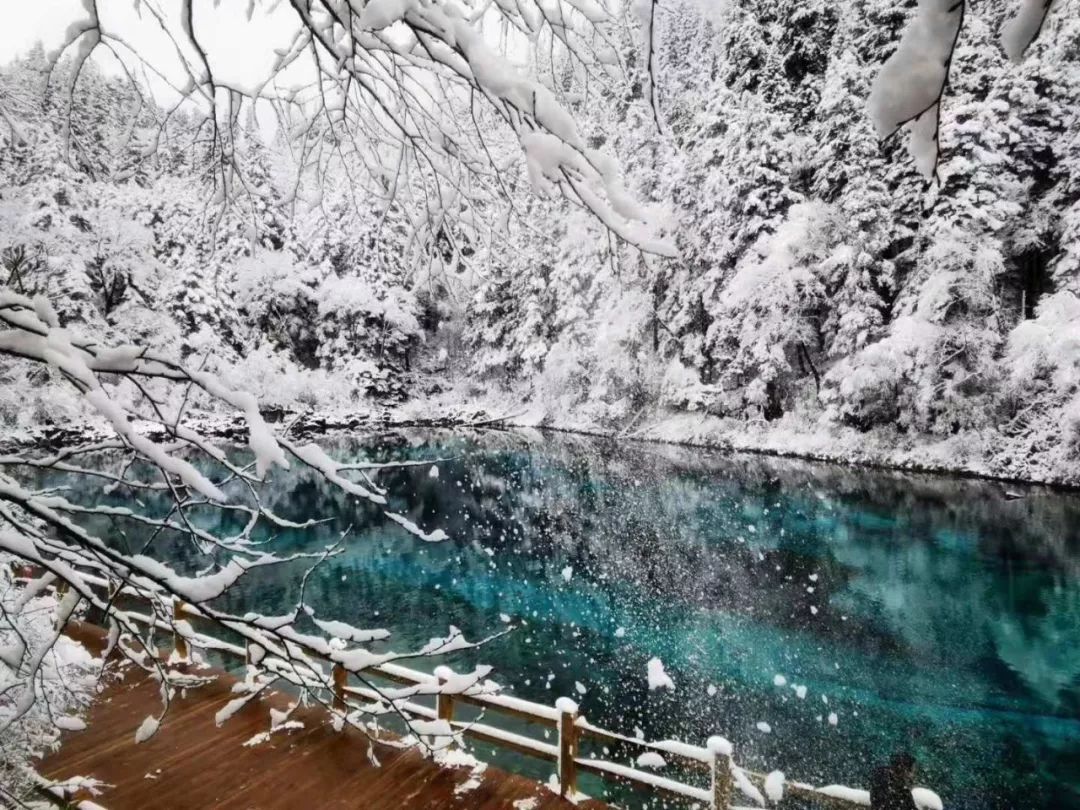 九寨沟旅游如何购票,散客九寨沟景区怎么玩