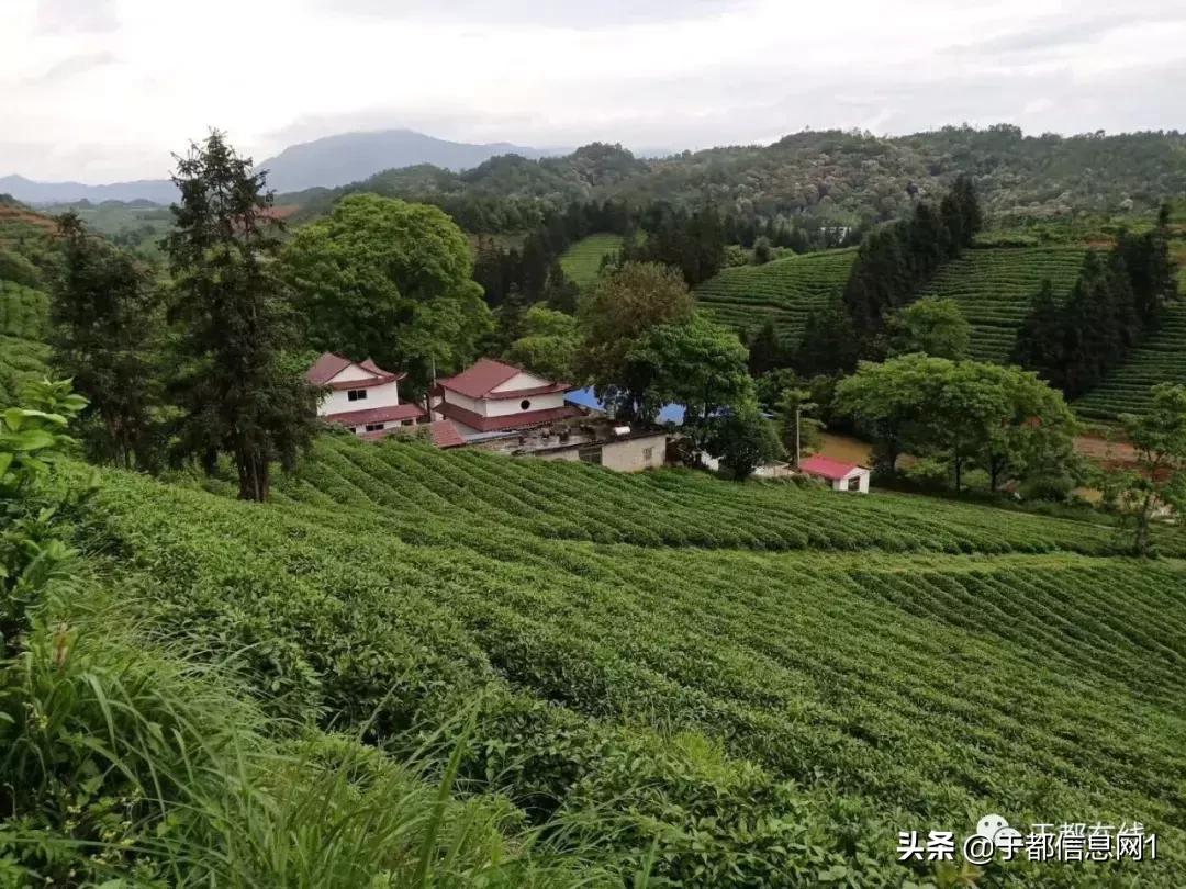 于都方志,方志于都的诗歌