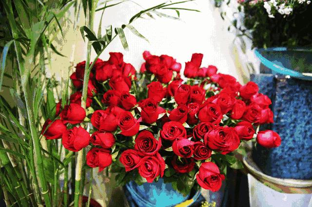 创业项目小成本商业模式,新门路无成本创业项目有哪些