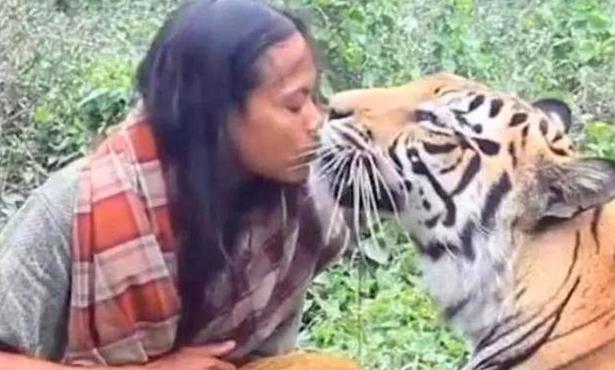女子放生老虎5年后相遇视频,国外一男子放生老虎5年后相遇