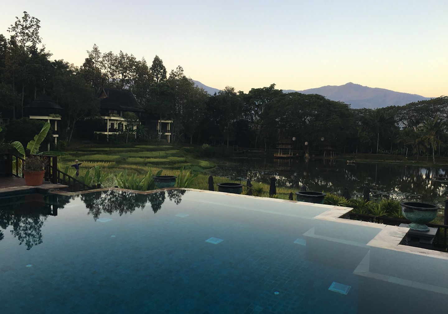 五星级酒店免费的东西,五星级酒店的超值服务