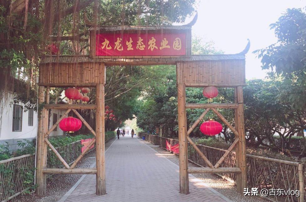 九龙生态园,九龙生态农业园景点