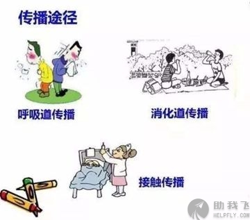 飞机疫情防护准备,疫情期间飞机上怎样防护