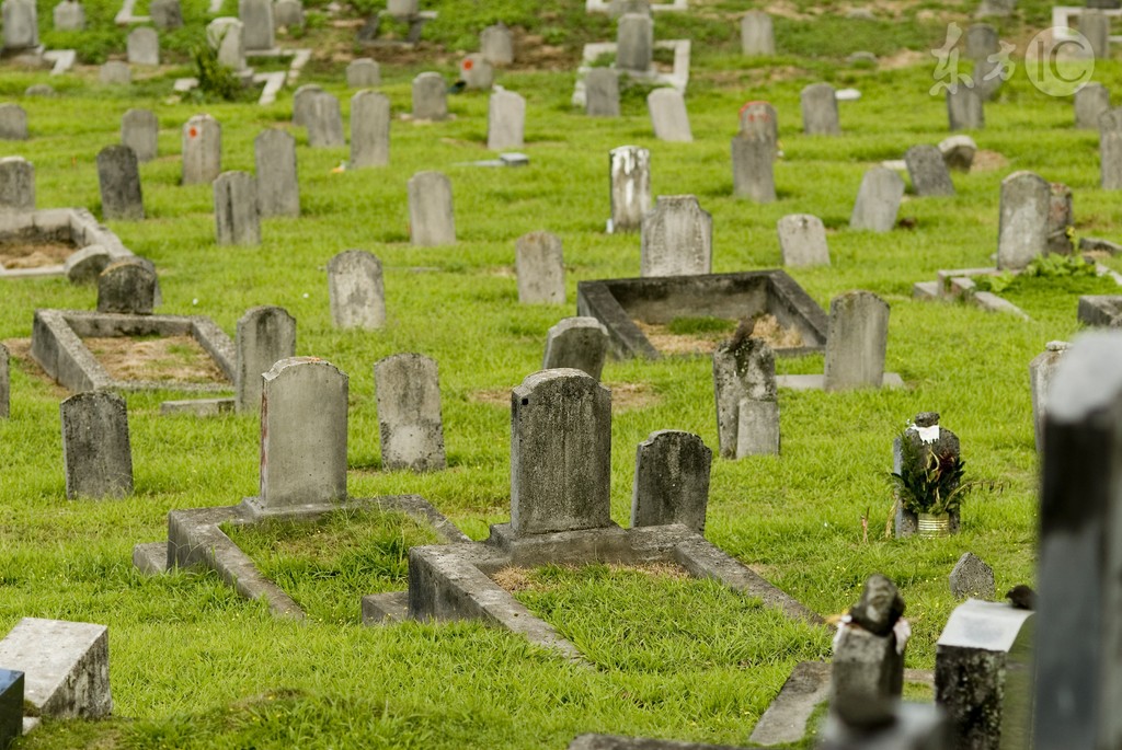 偏僻农村的灵异事件小说,一群人进了诡异的村庄小说