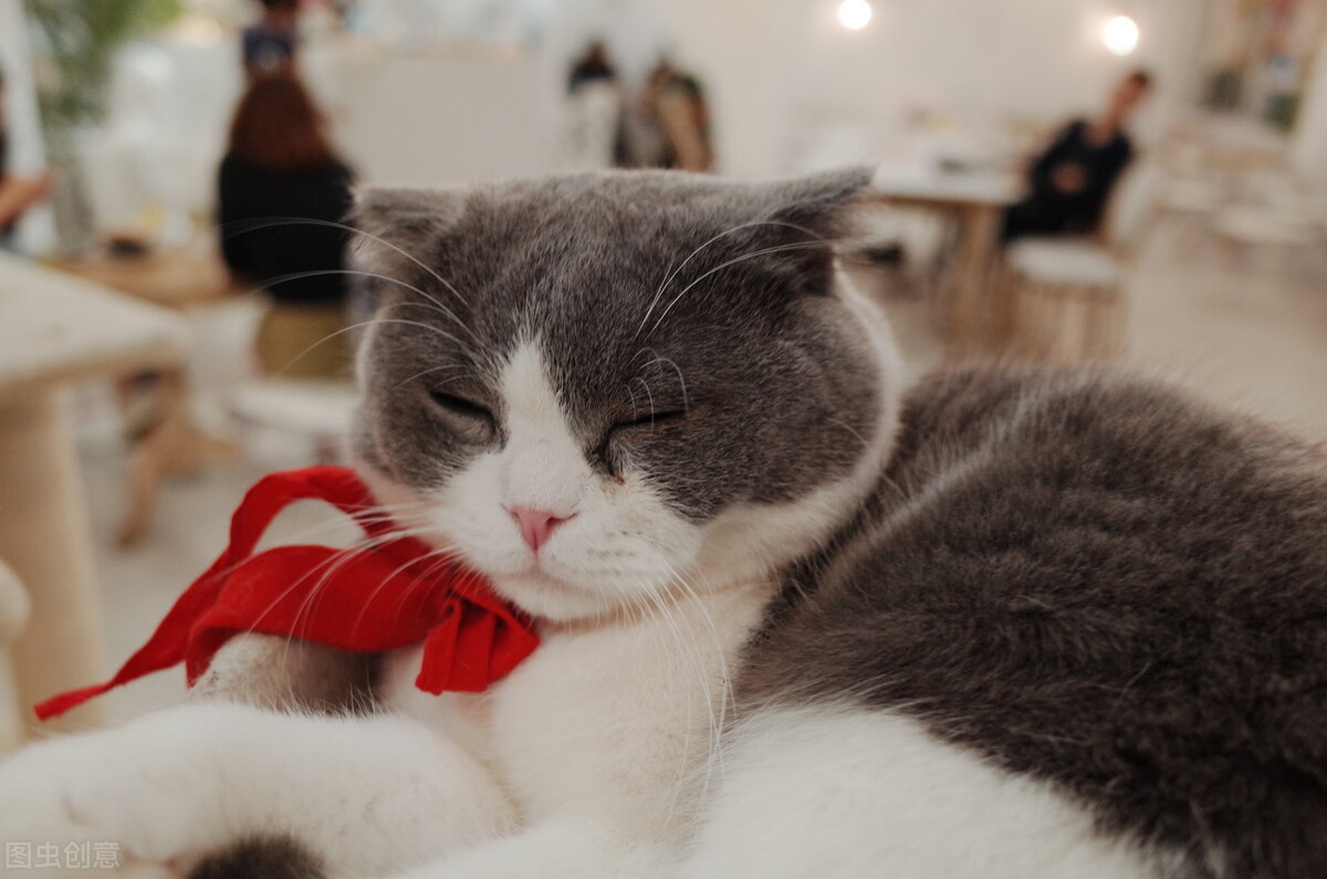 0成本线上创业项目推荐2021,创业项目推荐2021投资