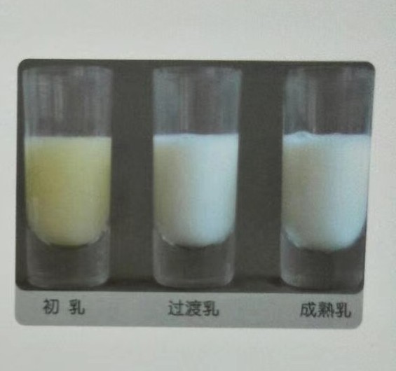 婆婆总说奶不够吃如何回答,婆婆每天就知道问奶水够不够吃