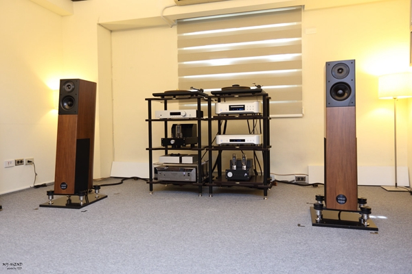 精准再进化,搭配胆机超迷人:德国飞星AudioPhysicVirgoIII