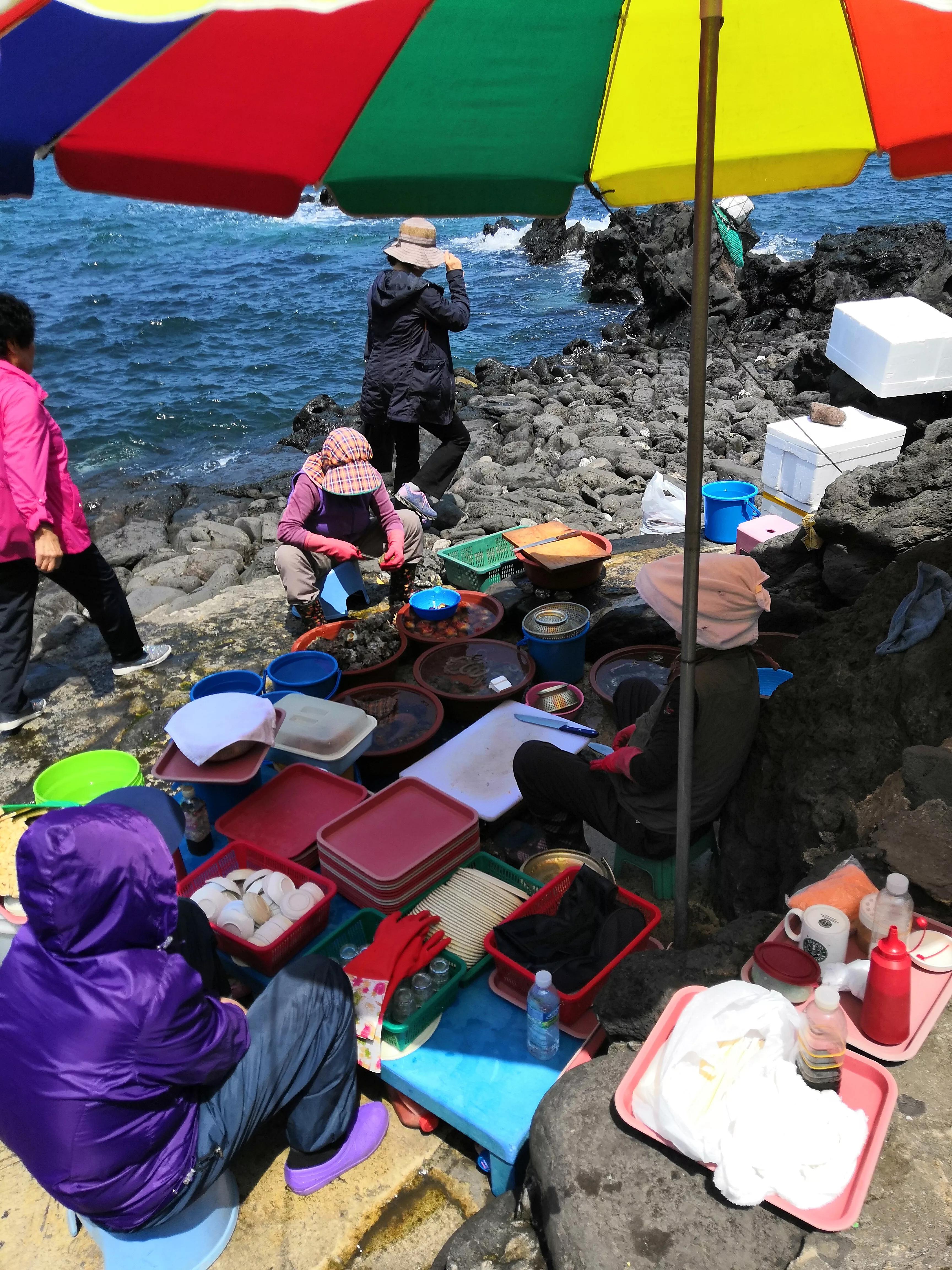 在济州岛发呆的日子,济州岛散心