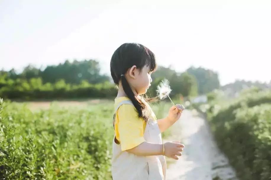 小学生霸王别姬创意舞走红,小学生律动操霸王别姬