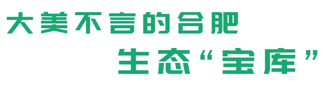 合肥融创茂宝藏秘境,合肥宝藏地