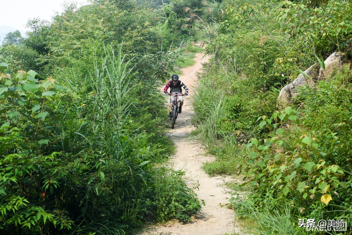 布鲁莱斯电动自行车s6哪个版本好,布鲁莱斯s6锂电山地车