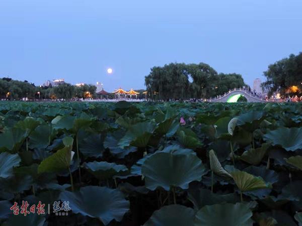 长春南湖公园太美了,长春南湖的景观