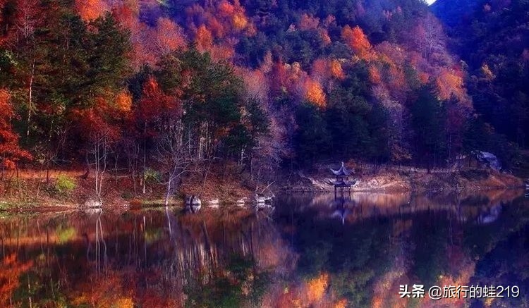 武汉环境好的区域,武汉环境最好是哪个区