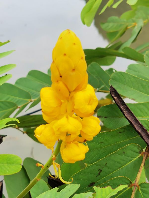 女生选植物保护专业就业前景,植物保护研究生就业现状