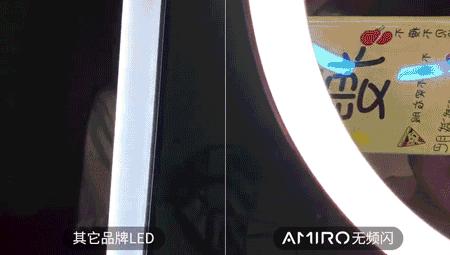 月黑风高倾国倾城,月黑风高日光明媚