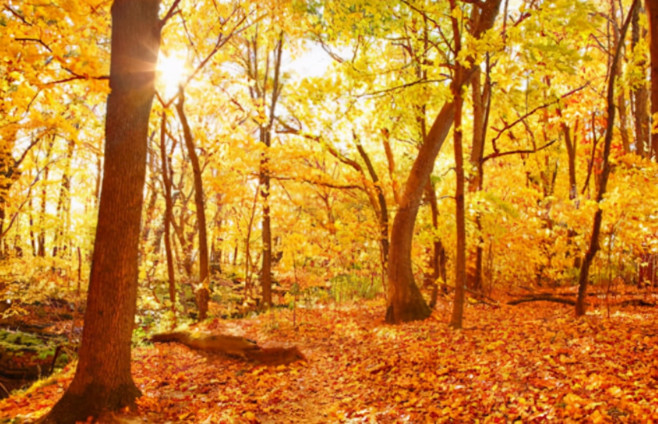 河南曾经的古都,河南几百年历史的古城